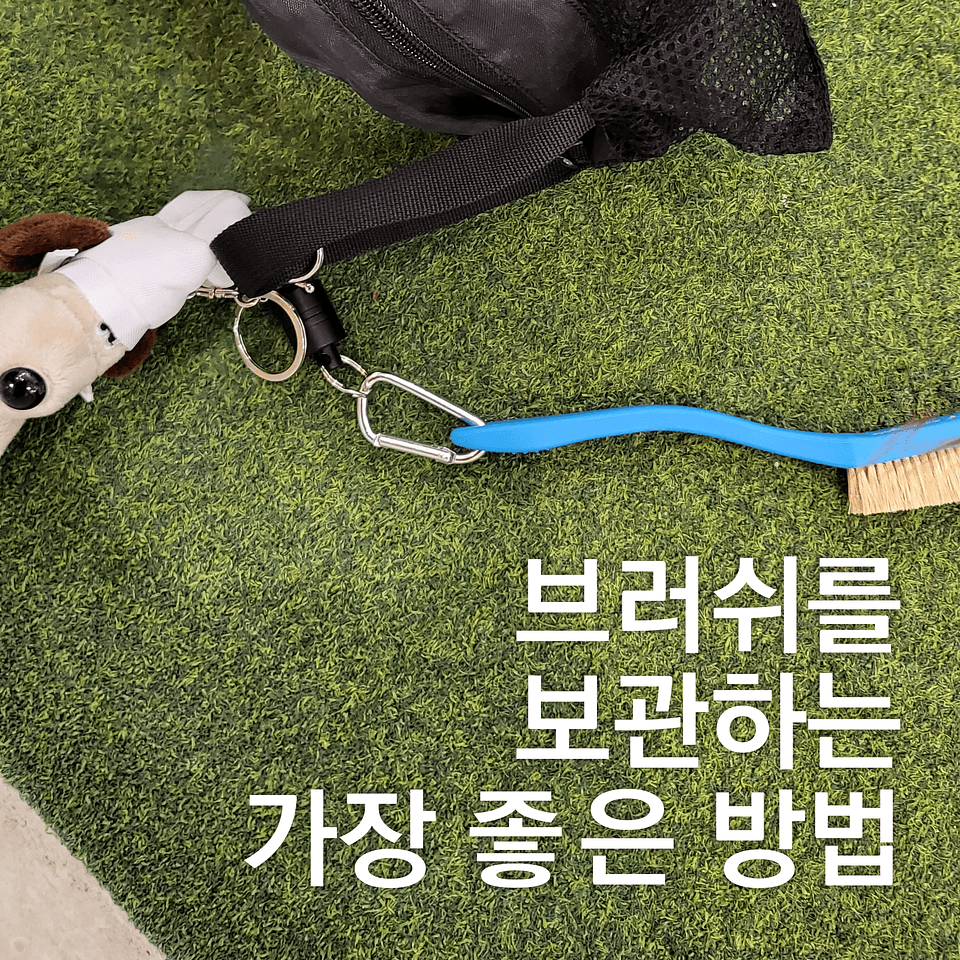 매그니토 마그네틱 사진 0