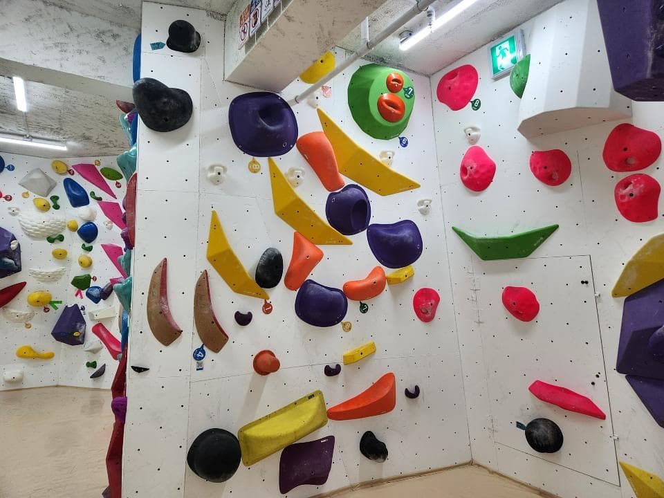 게시물 사진 2